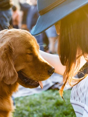 Vertrauen und Bindung zwischen Mensch und Hund – Philosophie des Hundezentrums Obersee