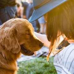 Vertrauen und Bindung zwischen Mensch und Hund – Philosophie des Hundezentrums Obersee