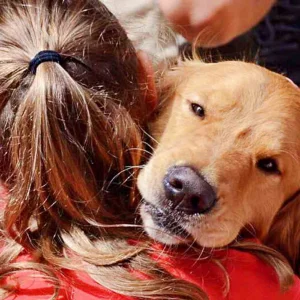 Echte Verbindung und emotionale Nähe im HZO Benken. Wenn Hunde die Seele berühren