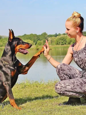 Hundetrainer-Ausbildung FPH Basis im HZO Benken – Modul 1 zur Vermittlung von Verhaltenslehre, Lernprinzipien und Gruppenführung.