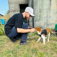 dario-bruhin-hundezentrum-obersee
