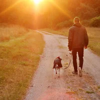 Social Walks & ZEN-Walks. Geführte Lernspaziergänge für jedes Hunde-Anliegen im HZO